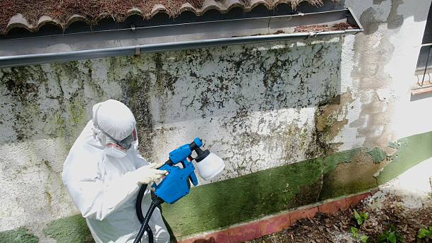 Top rated local Mold Removal specialists in Old Hickory, TN